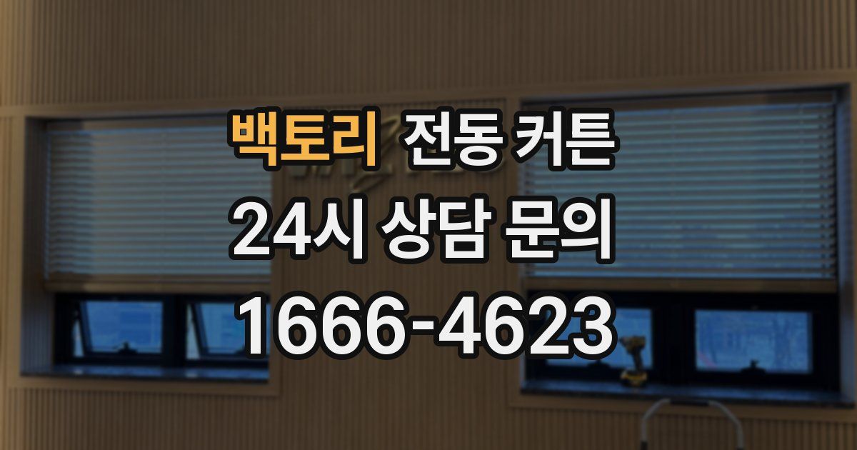 백토리 전동 커튼