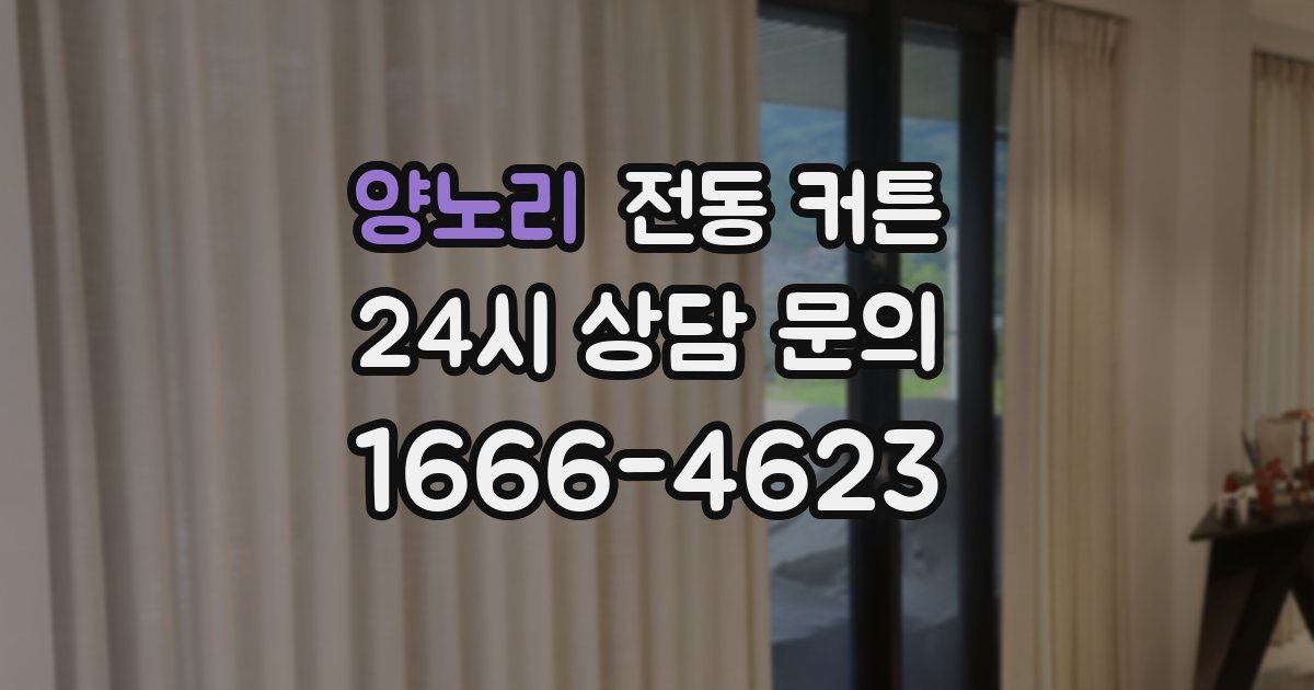 양노리 전동 커튼