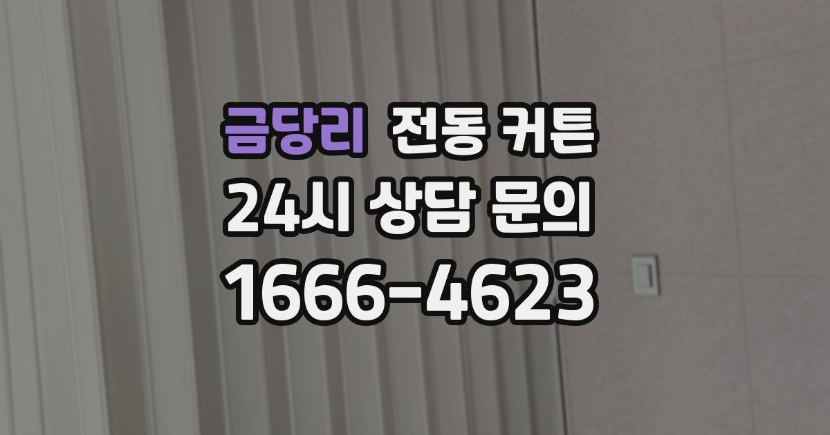 금당리 전동 커튼
