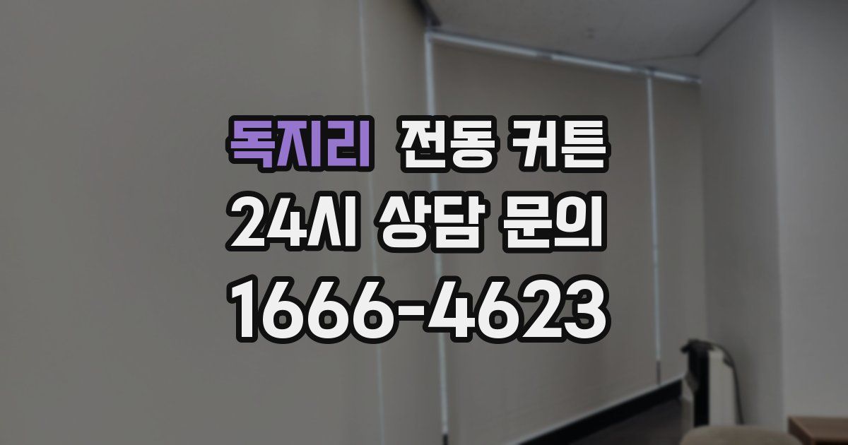 독지리 전동 커튼