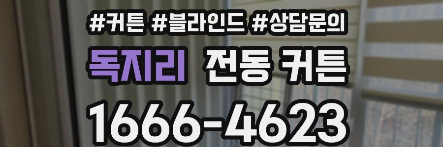 독지리 전동 커튼