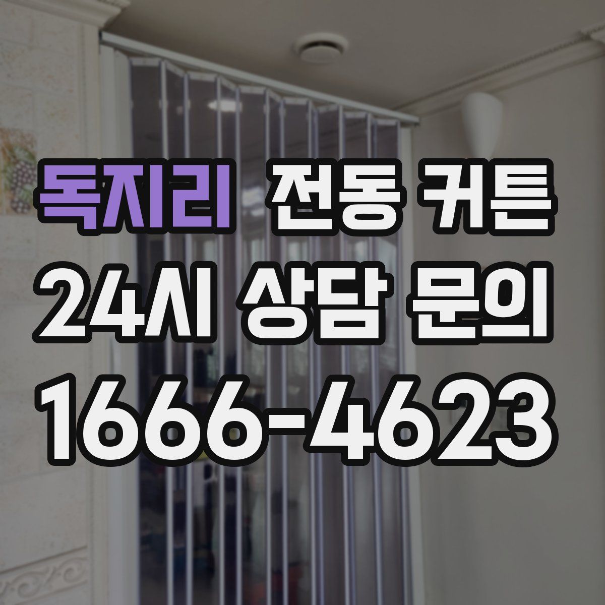 독지리 전동 커튼