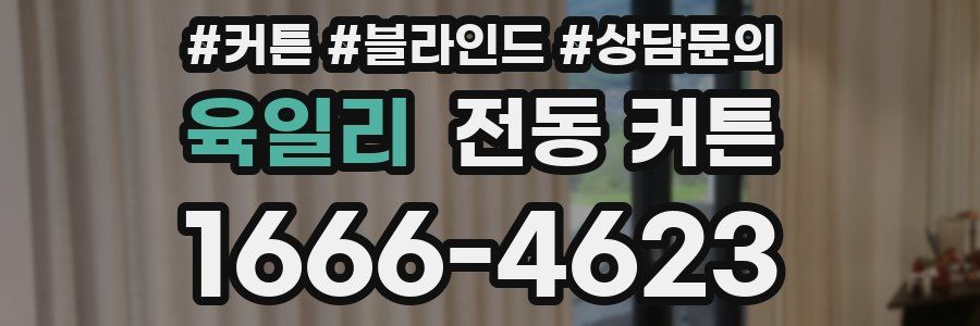육일리 전동 커튼