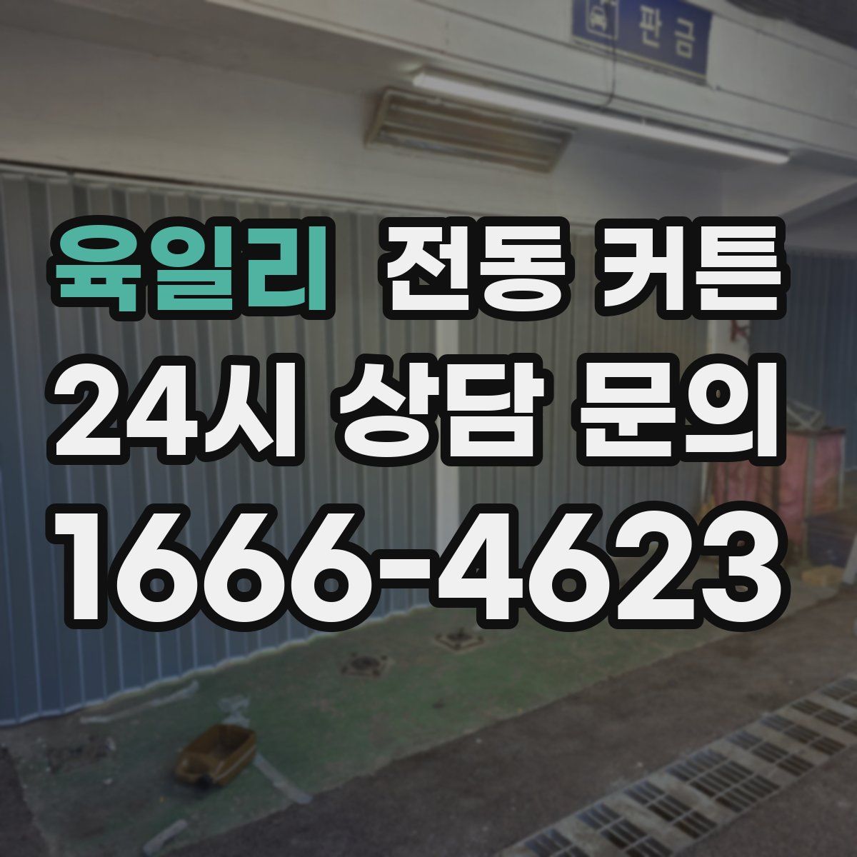 육일리 전동 커튼