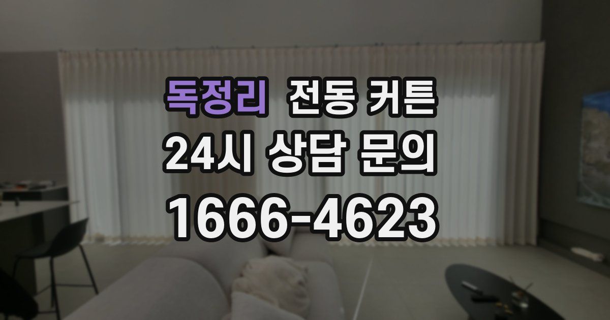 독정리 전동 커튼