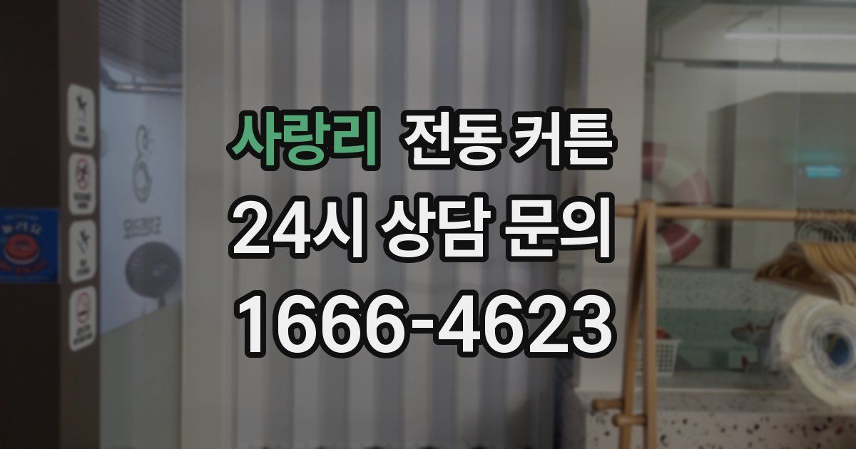 사랑리 전동 커튼