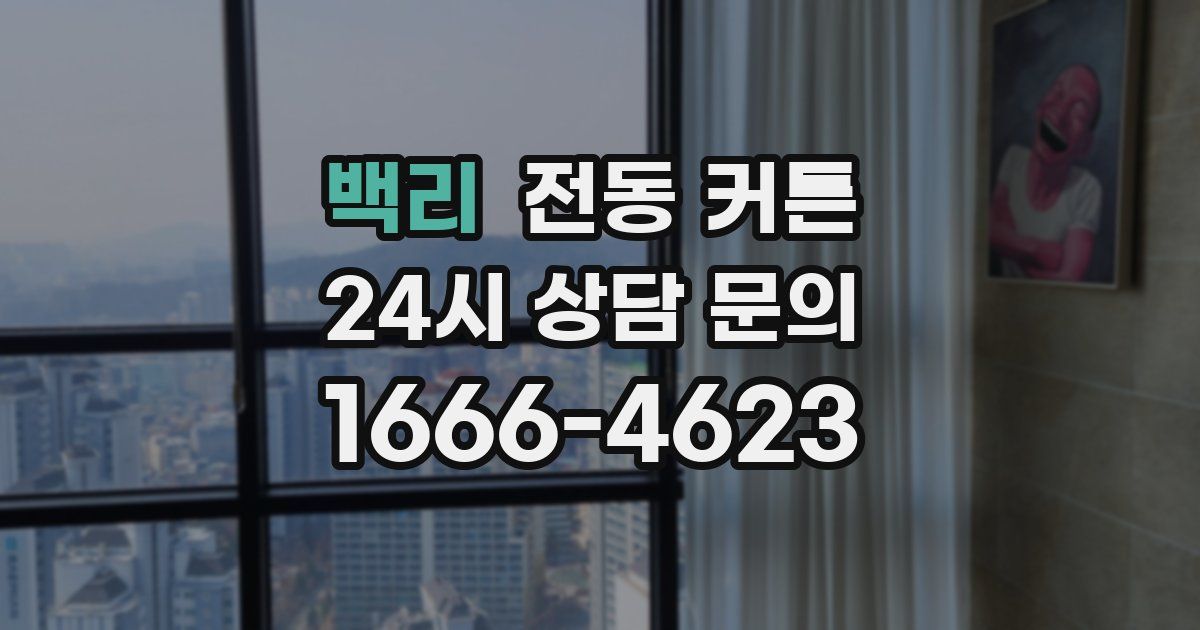 백리 전동 커튼