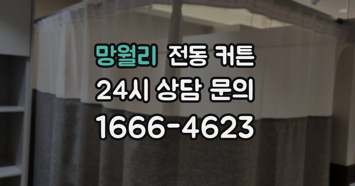 망월리 전동 커튼