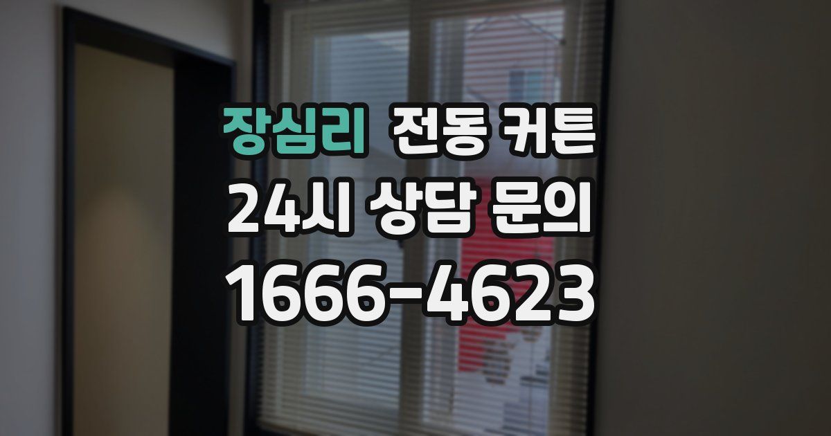 장심리 전동 커튼
