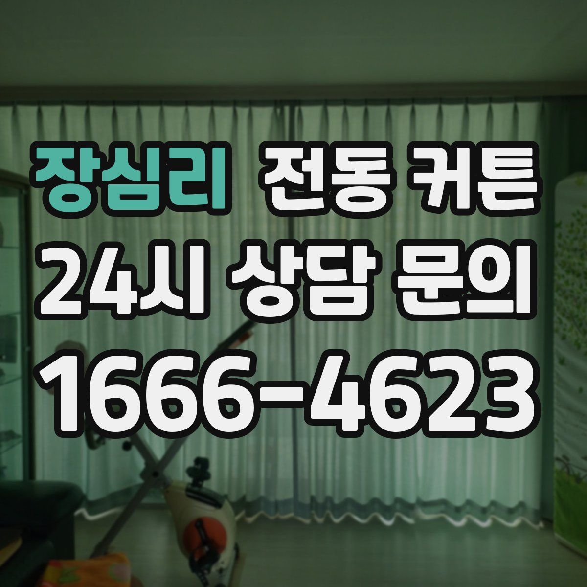 장심리 전동 커튼