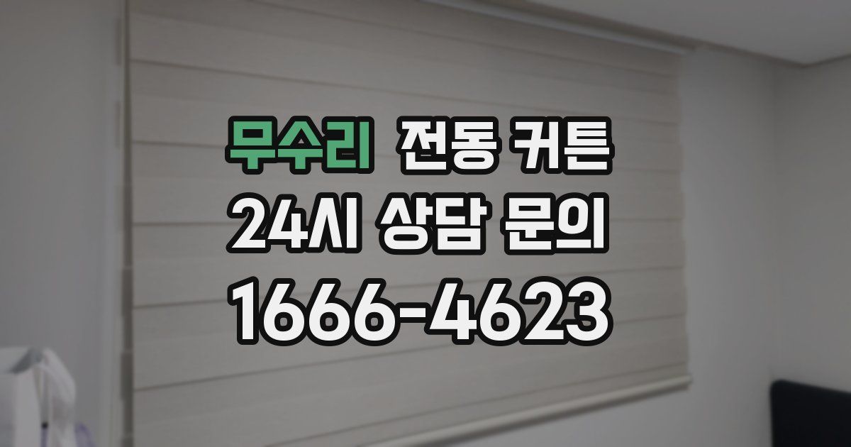 무수리 전동 커튼