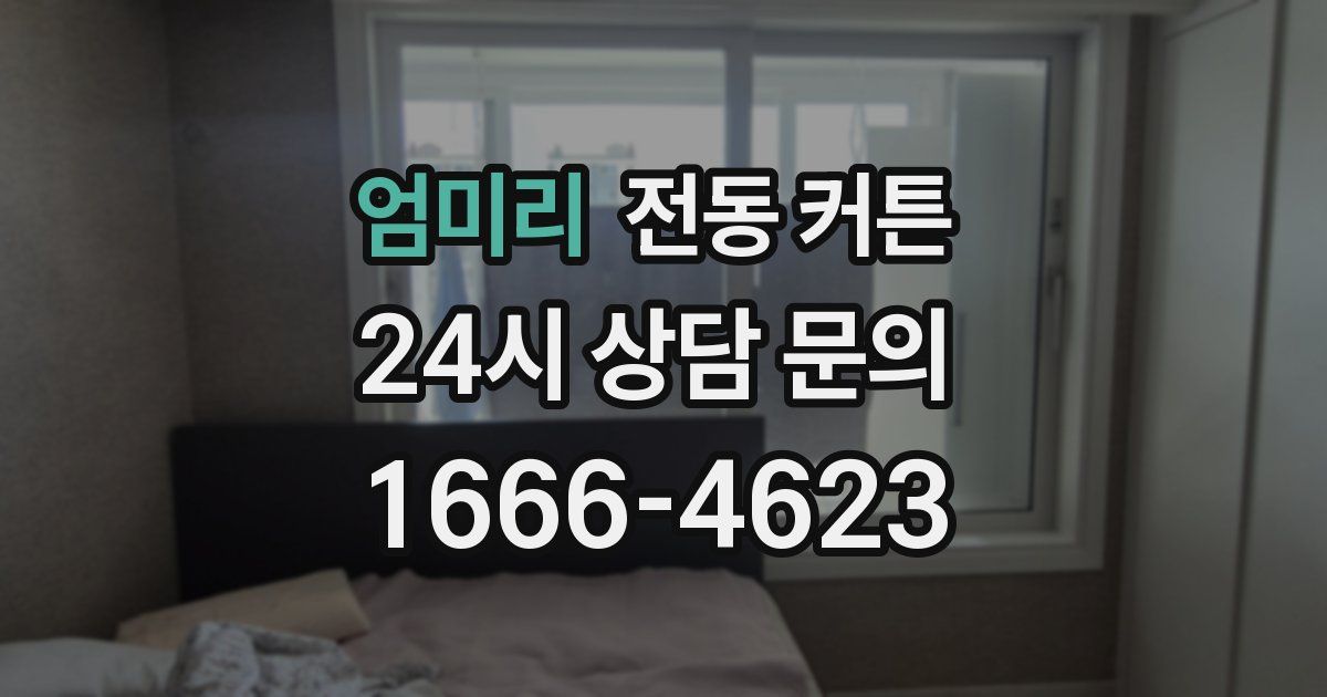 엄미리 전동 커튼