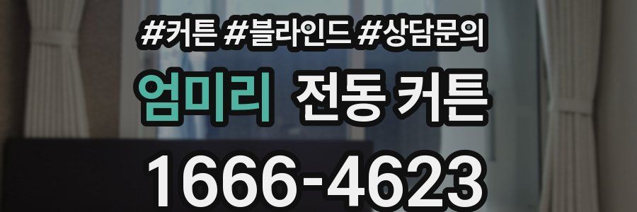 엄미리 전동 커튼