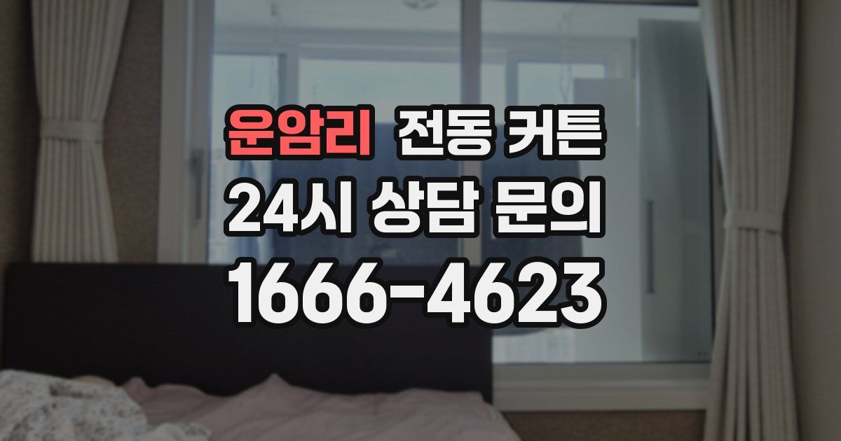 운암리 전동 커튼