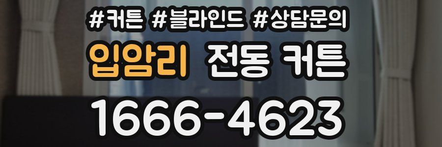 입암리 전동 커튼