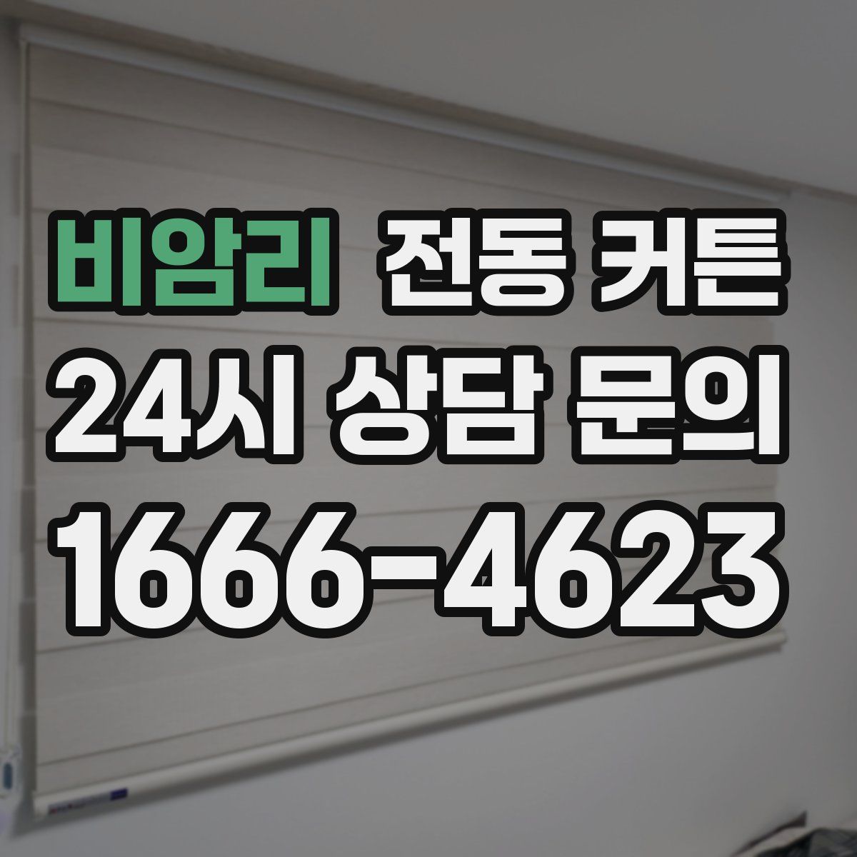 비암리 전동 커튼