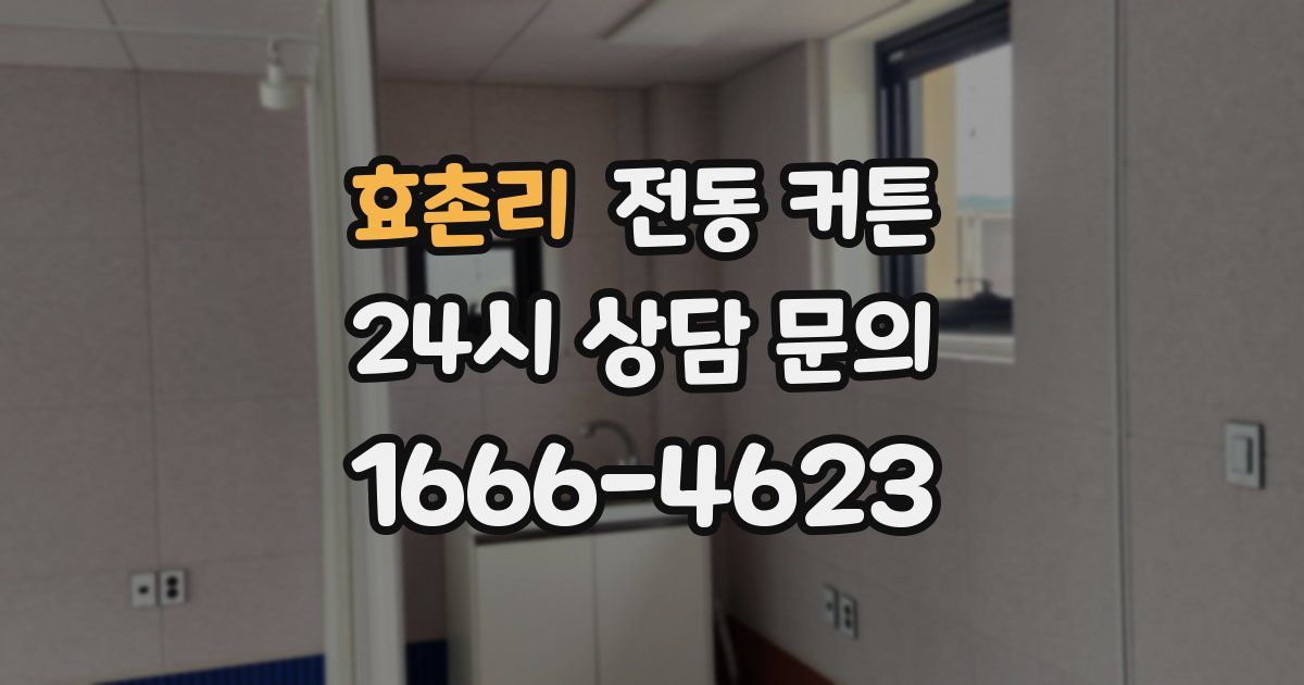 효촌리 전동 커튼