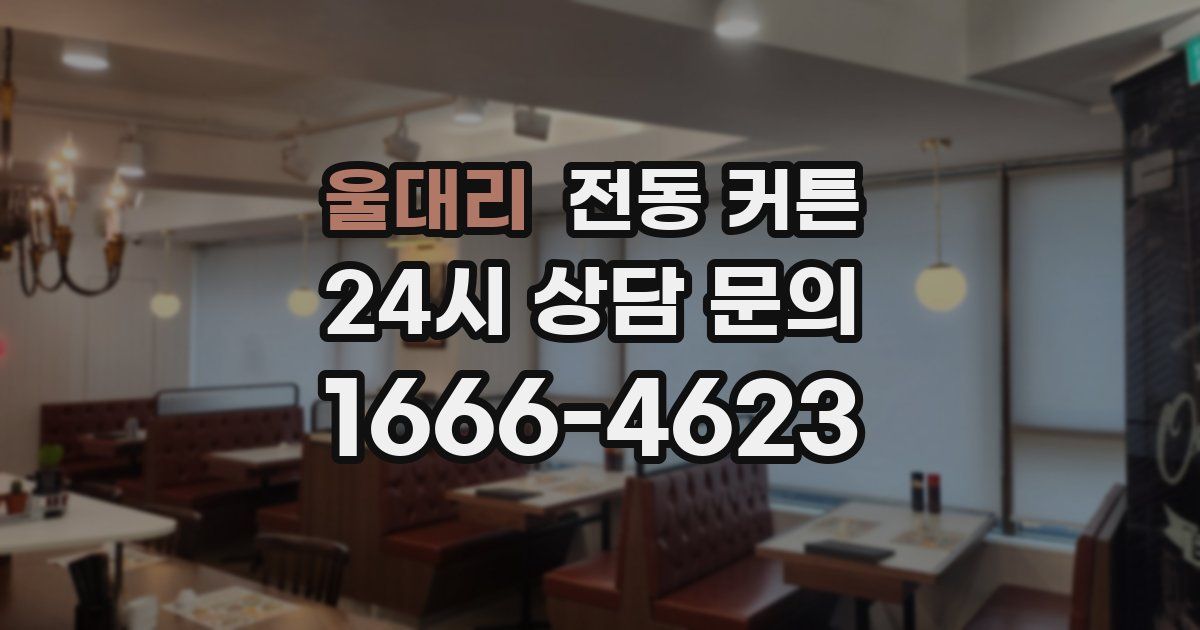 울대리 전동 커튼