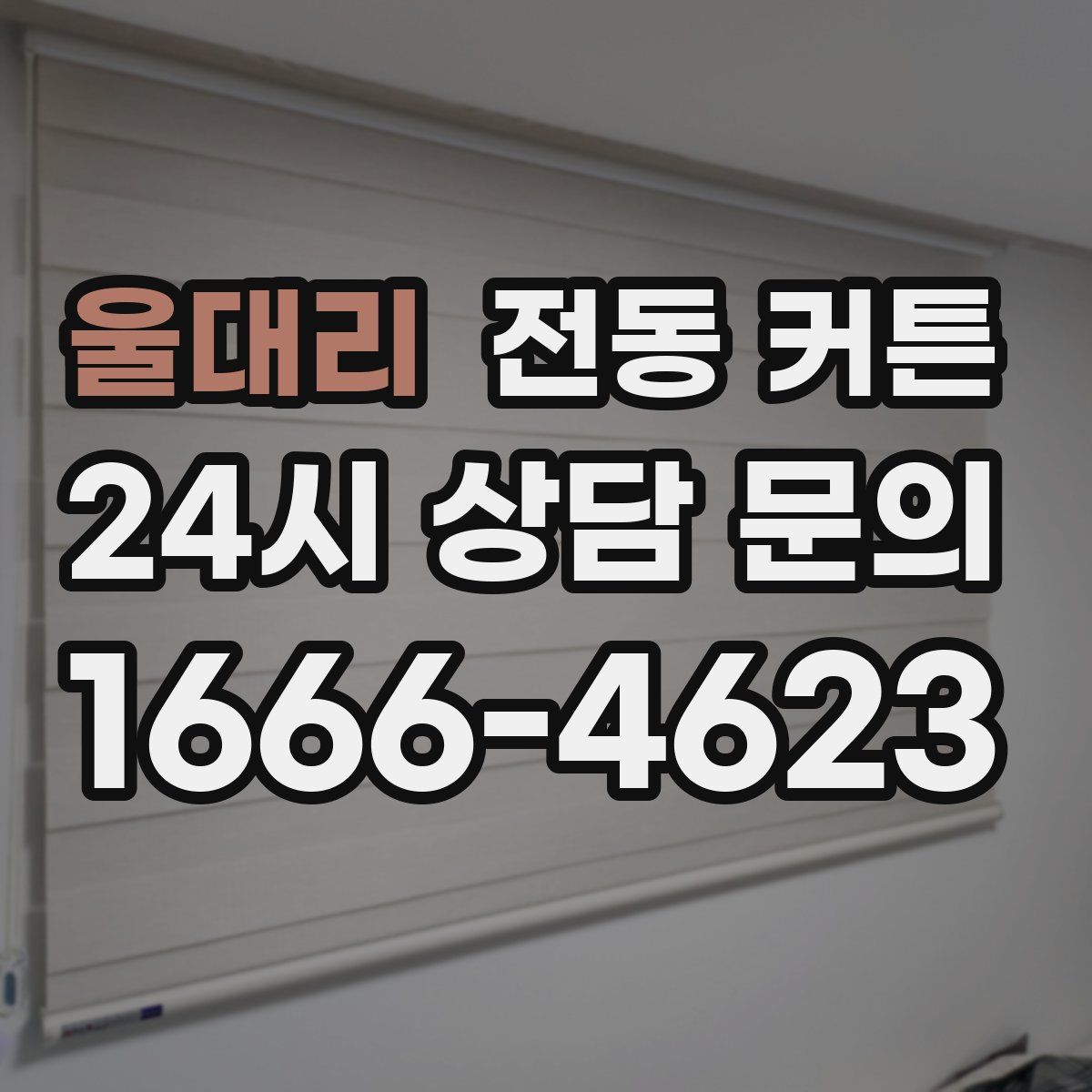 울대리 전동 커튼
