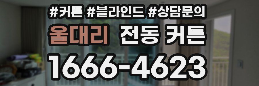 울대리 전동 커튼