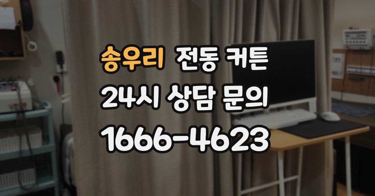 송우리 전동 커튼