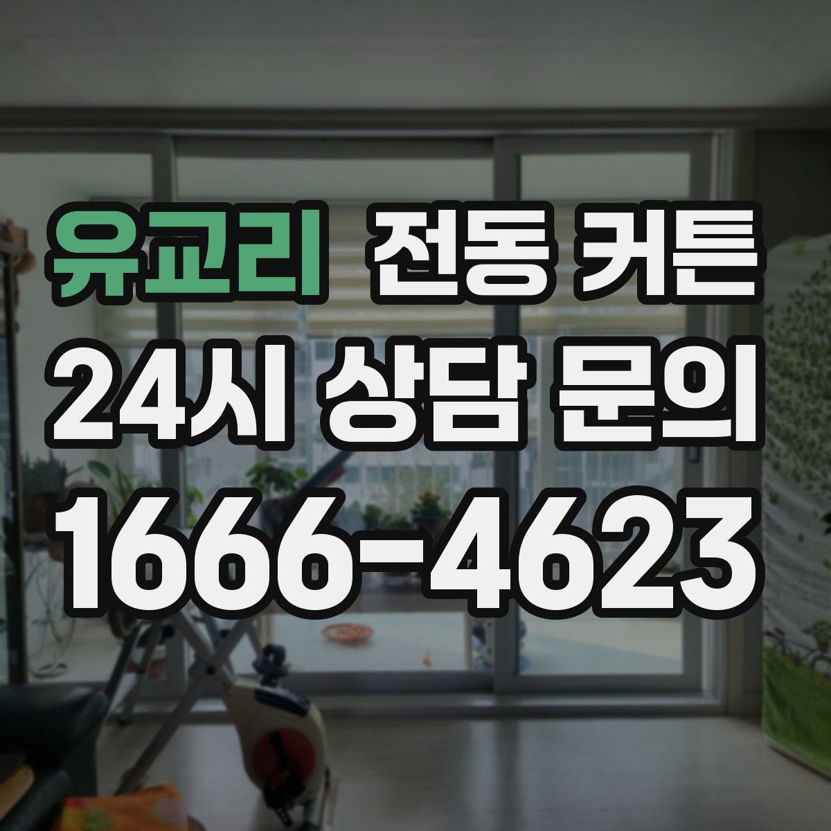 유교리 전동 커튼