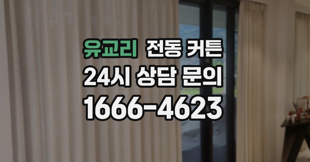 유교리 전동 커튼