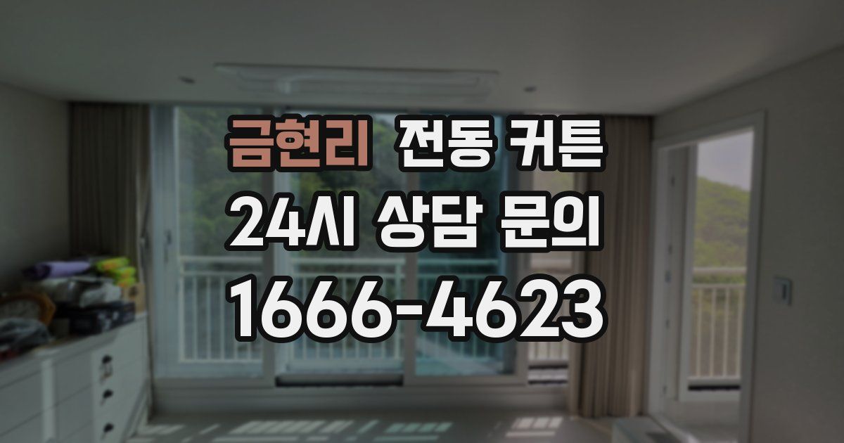 금현리 전동 커튼