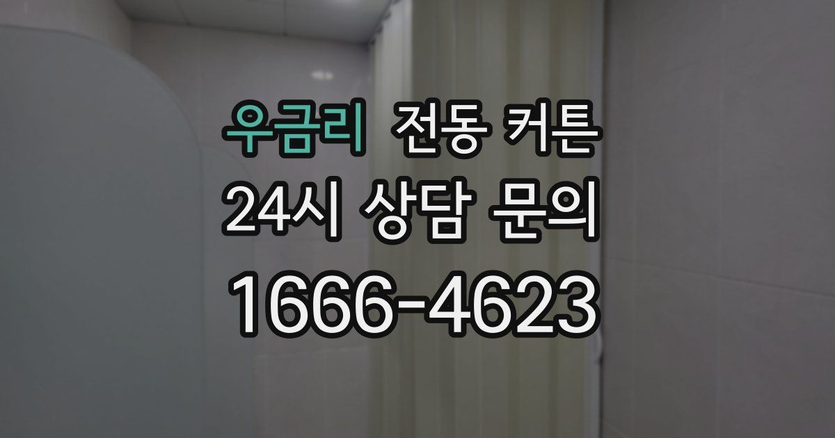 우금리 전동 커튼