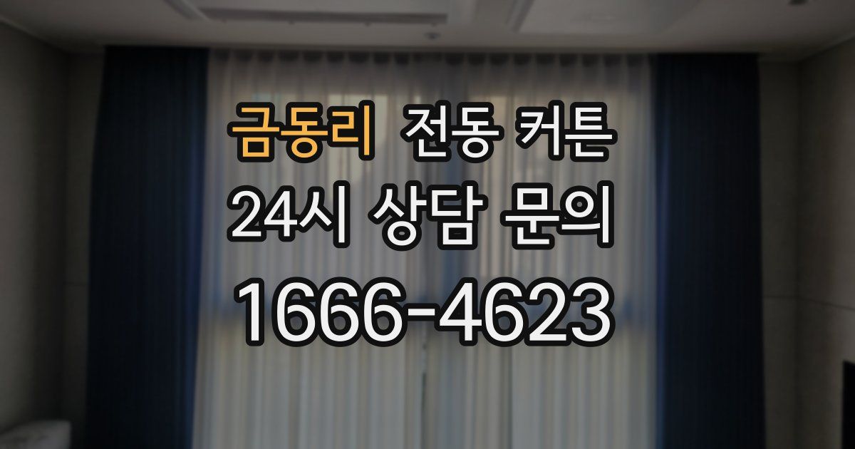 금동리 전동 커튼
