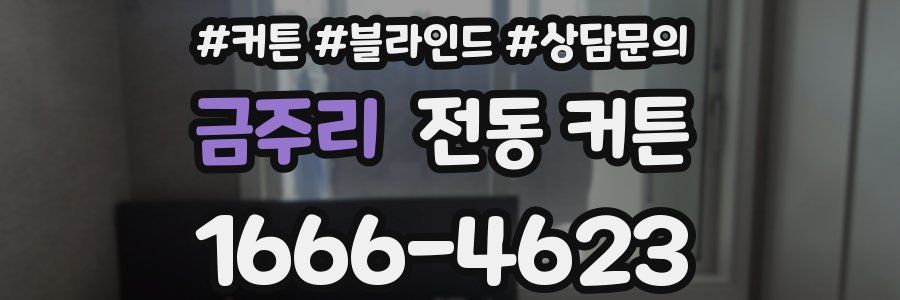 금주리 전동 커튼