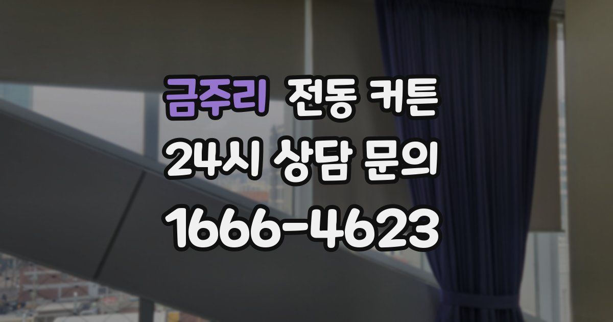 금주리 전동 커튼