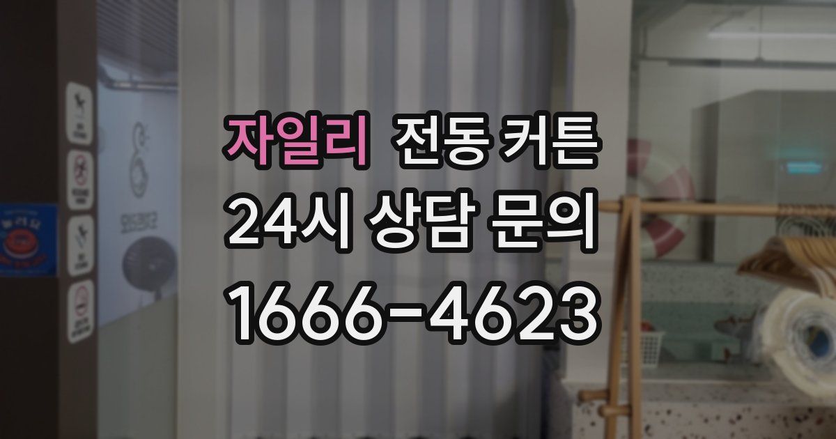자일리 전동 커튼