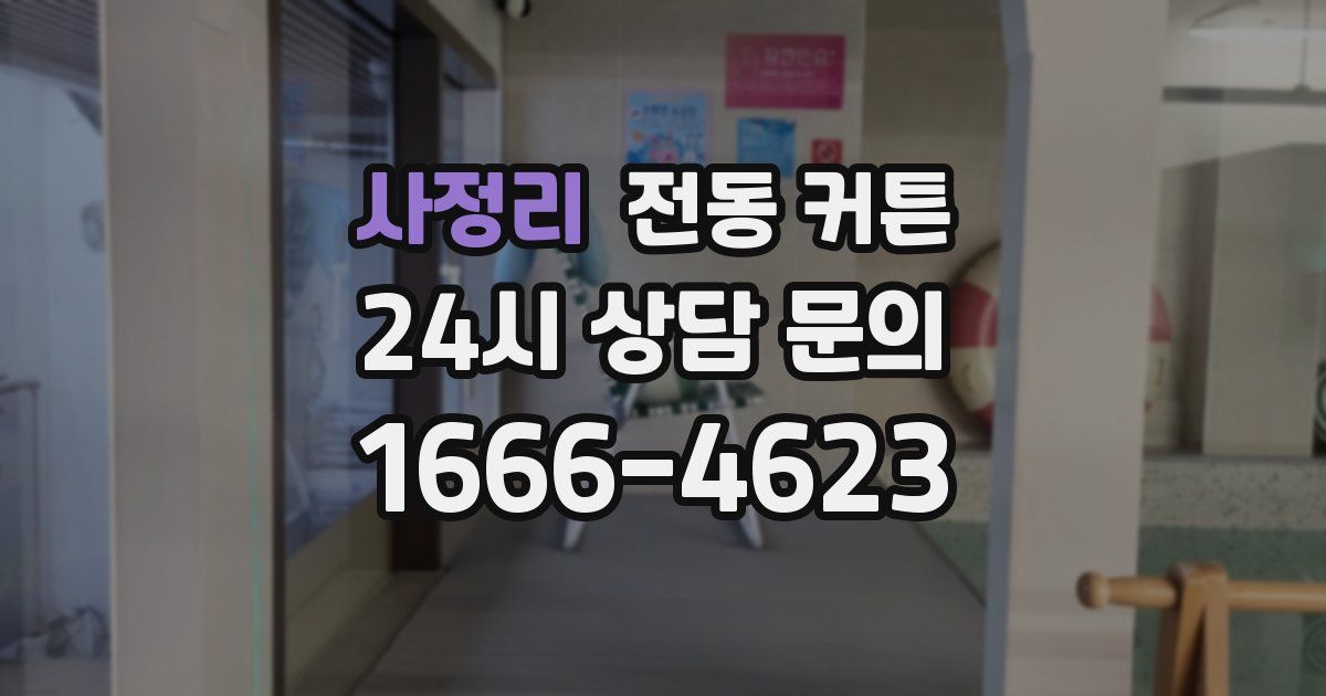 사정리 전동 커튼
