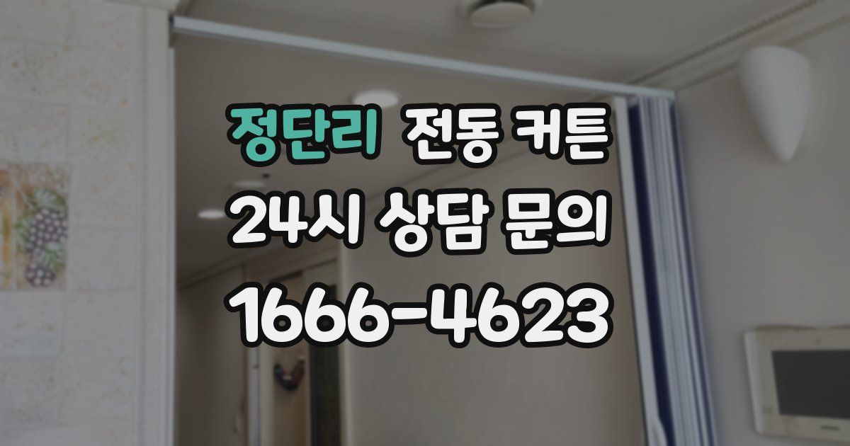 정단리 전동 커튼