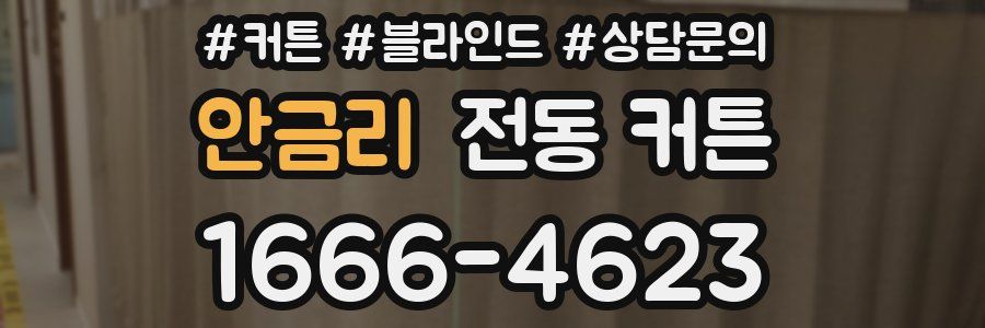 안금리 전동 커튼
