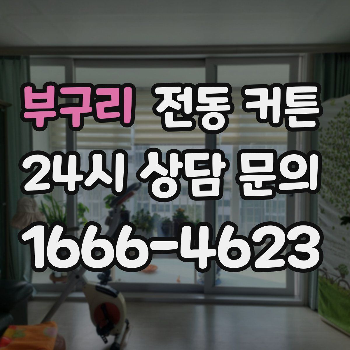 부구리 전동 커튼