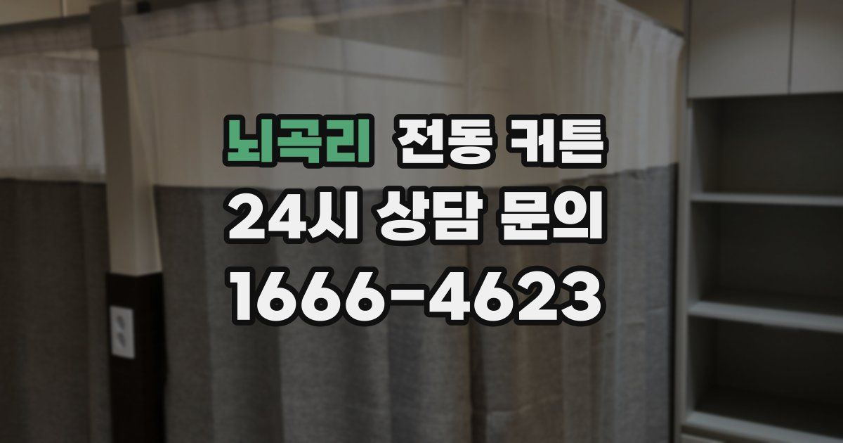 뇌곡리 전동 커튼