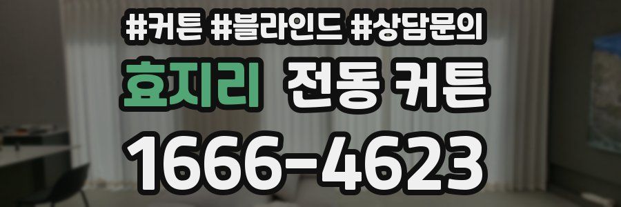 효지리 전동 커튼