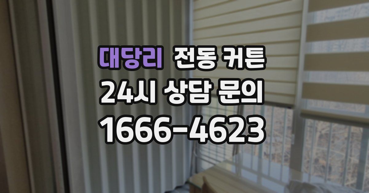 대당리 전동 커튼