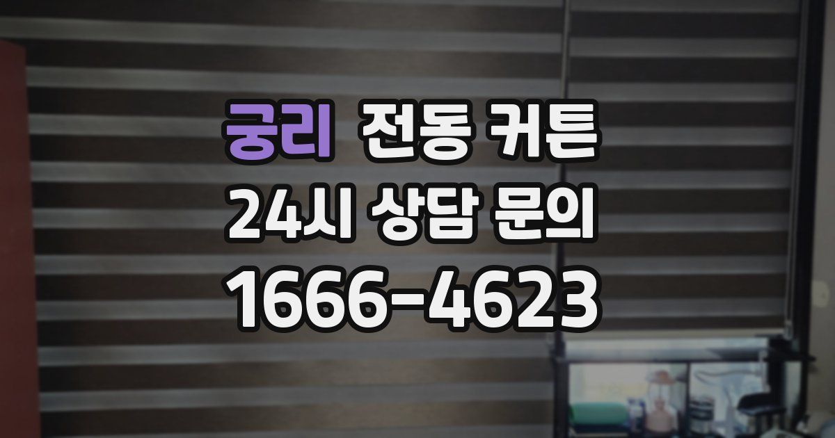 궁리 전동 커튼