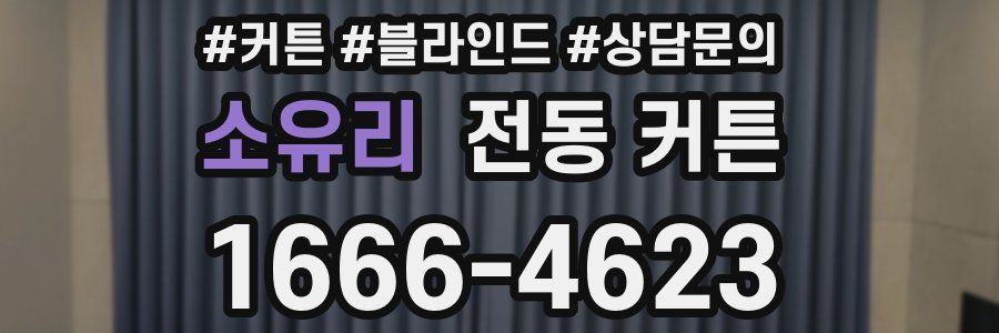 소유리 전동 커튼