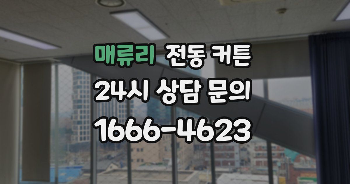 매류리 전동 커튼