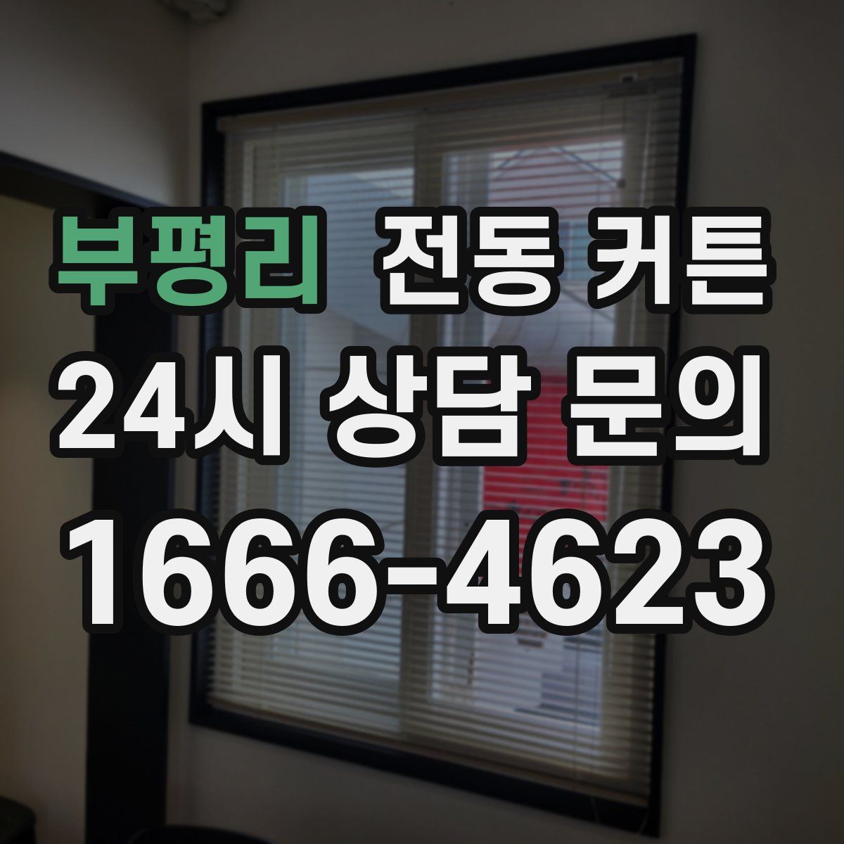 부평리 전동 커튼