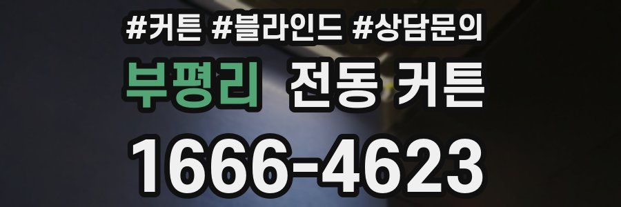 부평리 전동 커튼