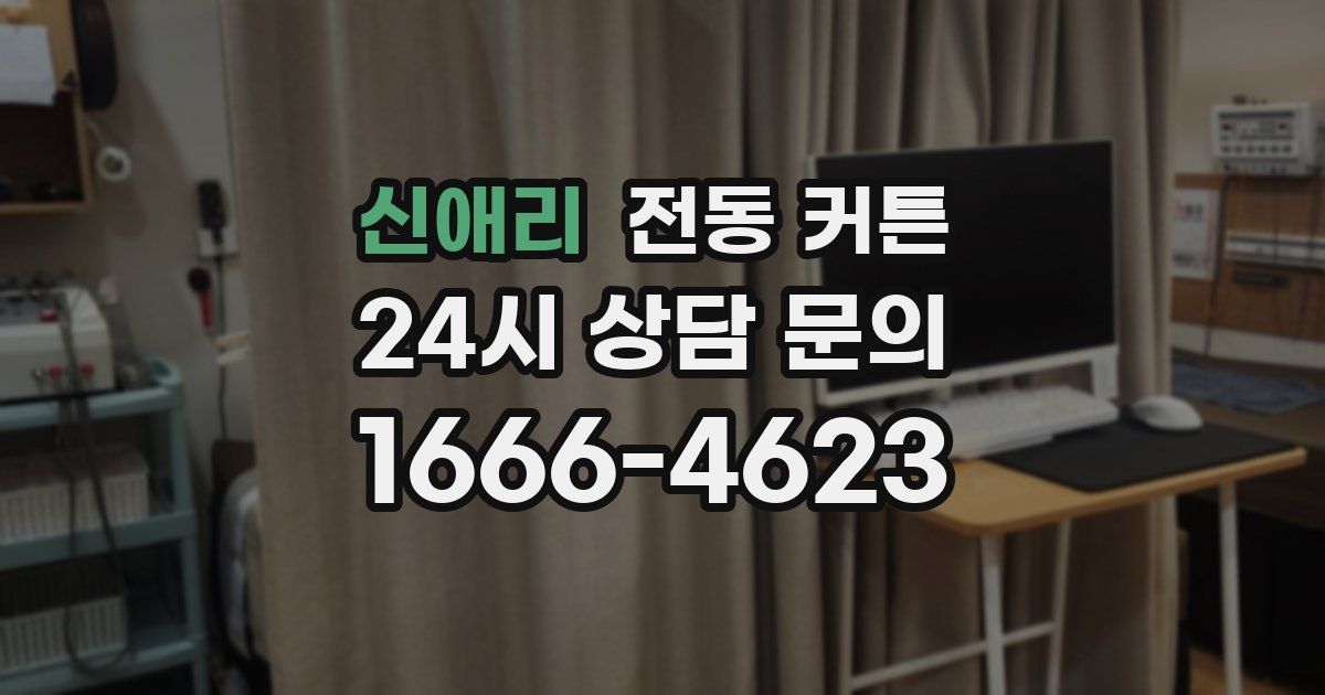 신애리 전동 커튼