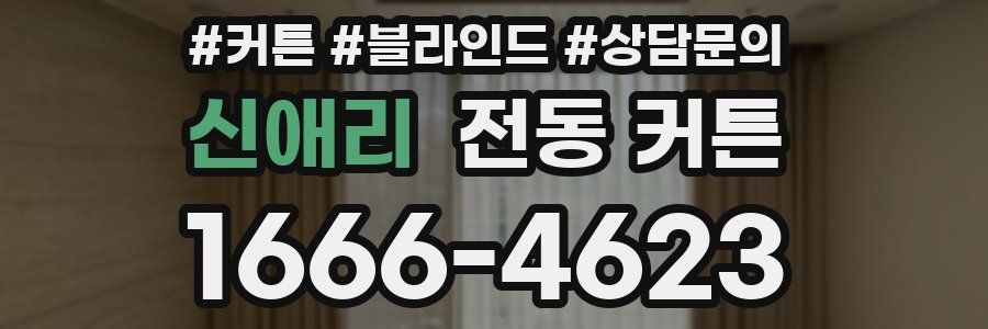 신애리 전동 커튼