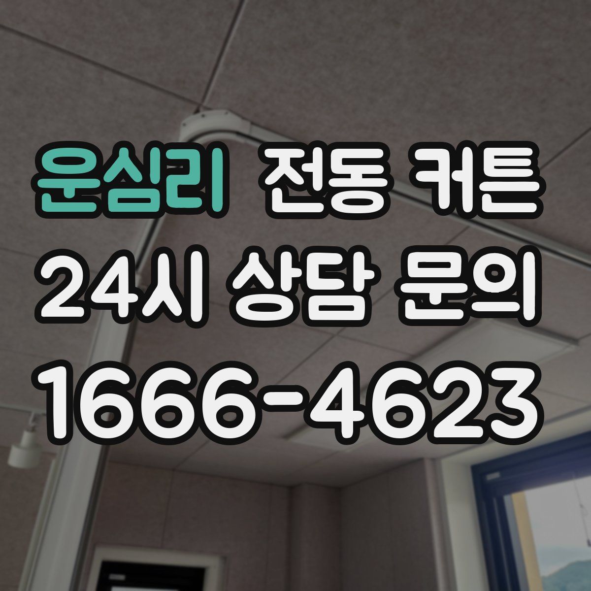 운심리 전동 커튼