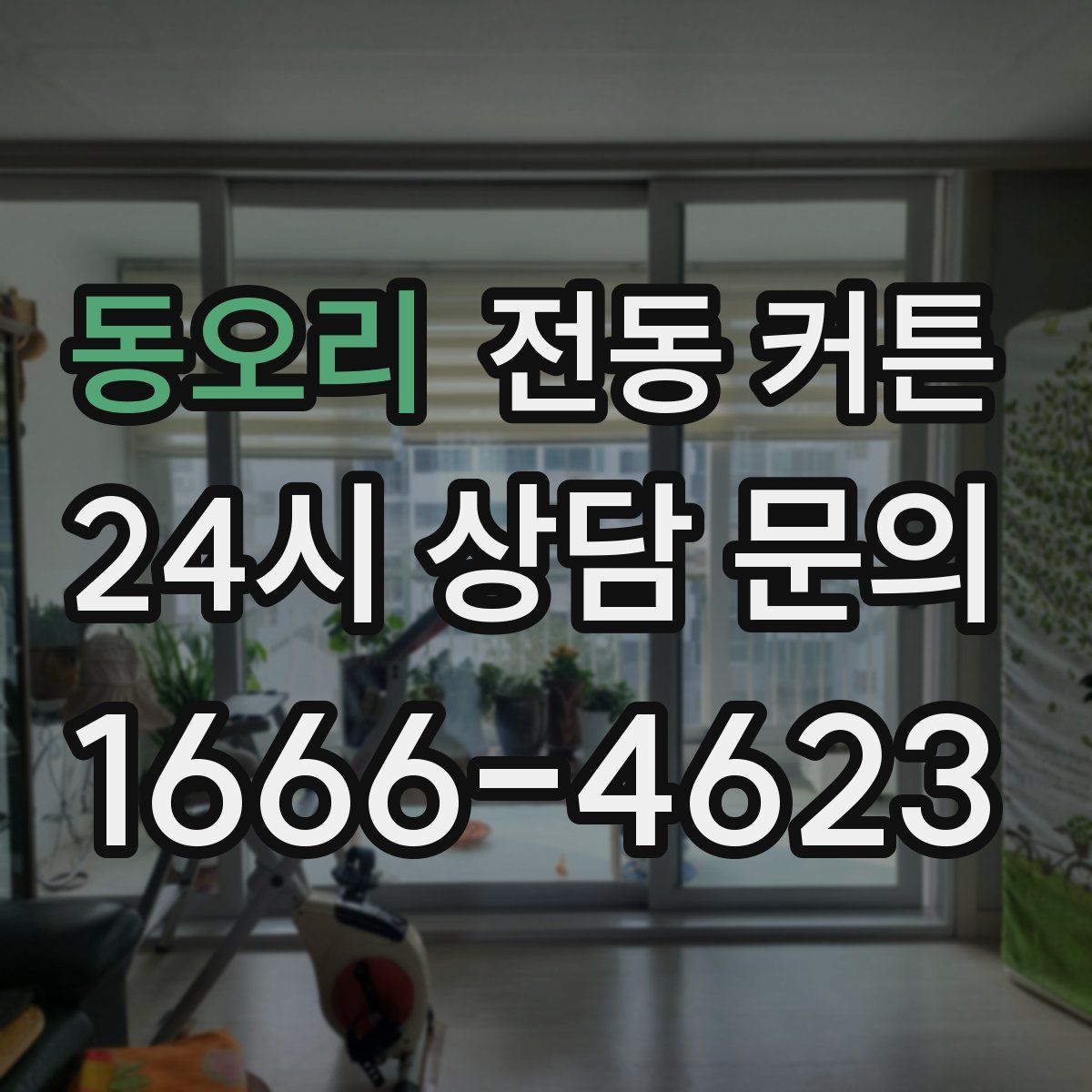 동오리 전동 커튼
