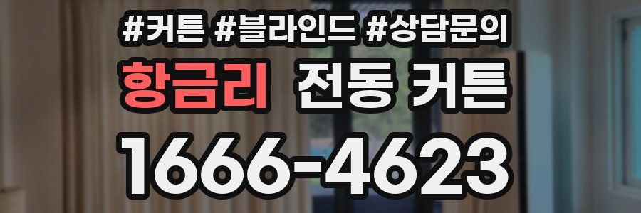 항금리 전동 커튼